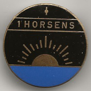 1. Horsens Division