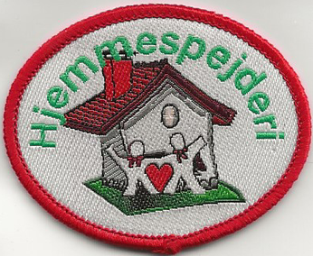 Hjemmespejderi