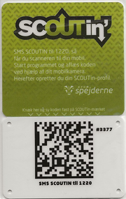 2010 - SCOUTin´