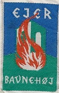 Ejer Bavnehøj Division