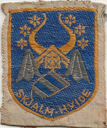 Skjalm-Hvide Division