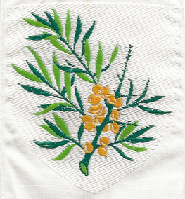 Vest Vendsyssel Division