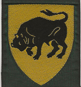 Øst Himmerland Division