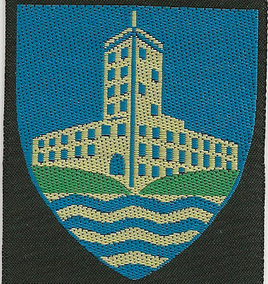 Koldinghus Division