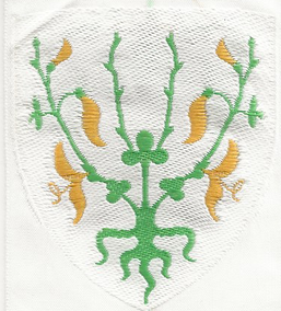 Øst Vendsyssel Division