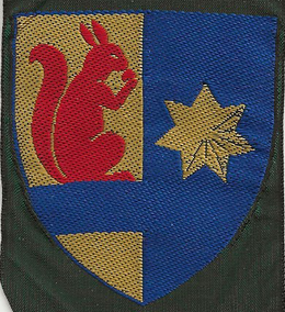 Frijsenborg Division