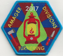 Divisionsturnering 2017