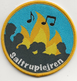 Saltruplejren