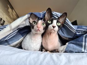 Kira and Cooper