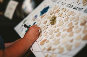 Alternatief gastenboek - 