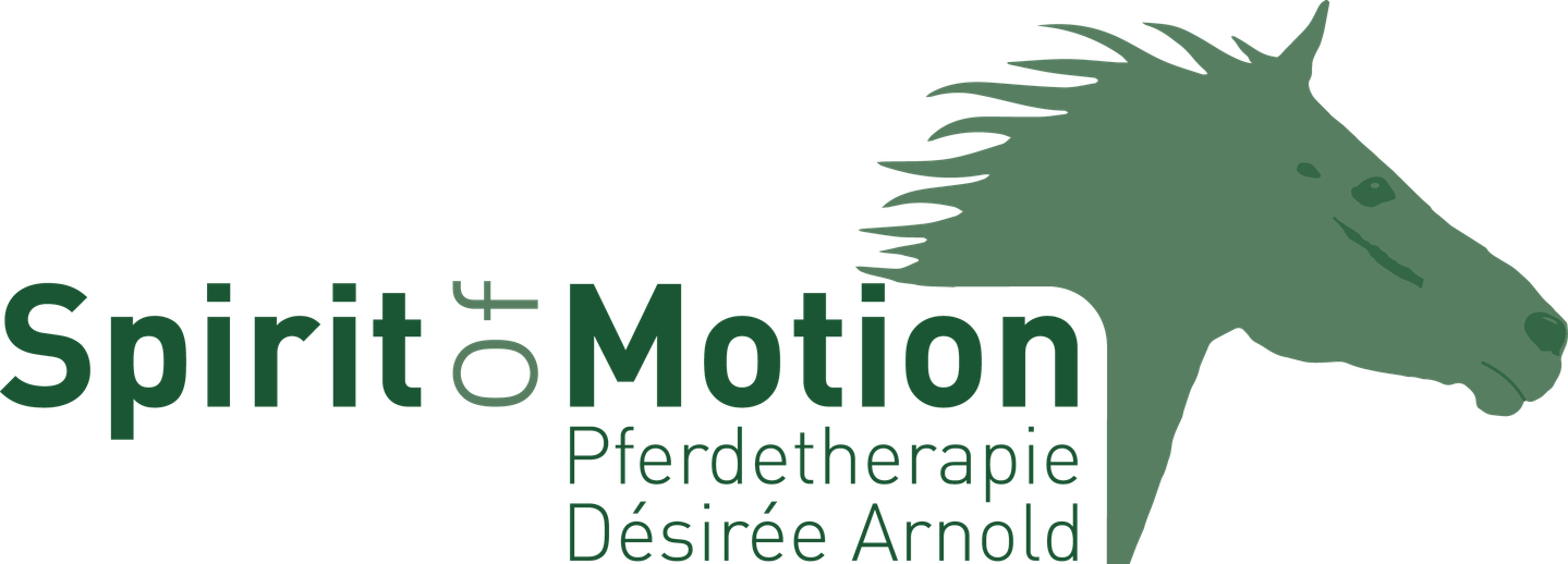 Spirit of Motion