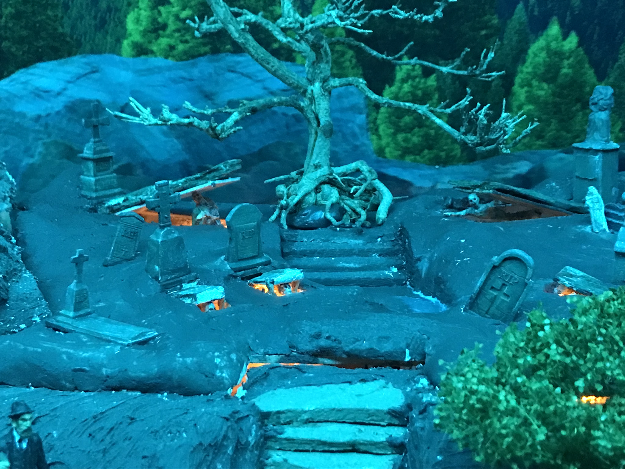 When the night falls  ...