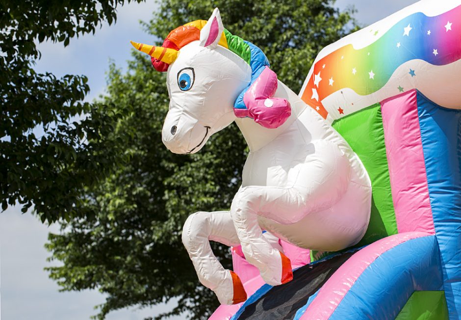 unicorn combo eenhoorn