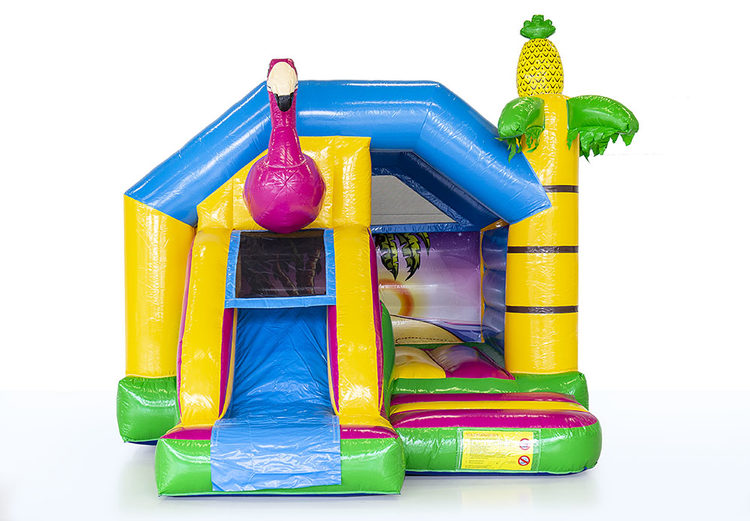 Slide combo Flamingo (4)
