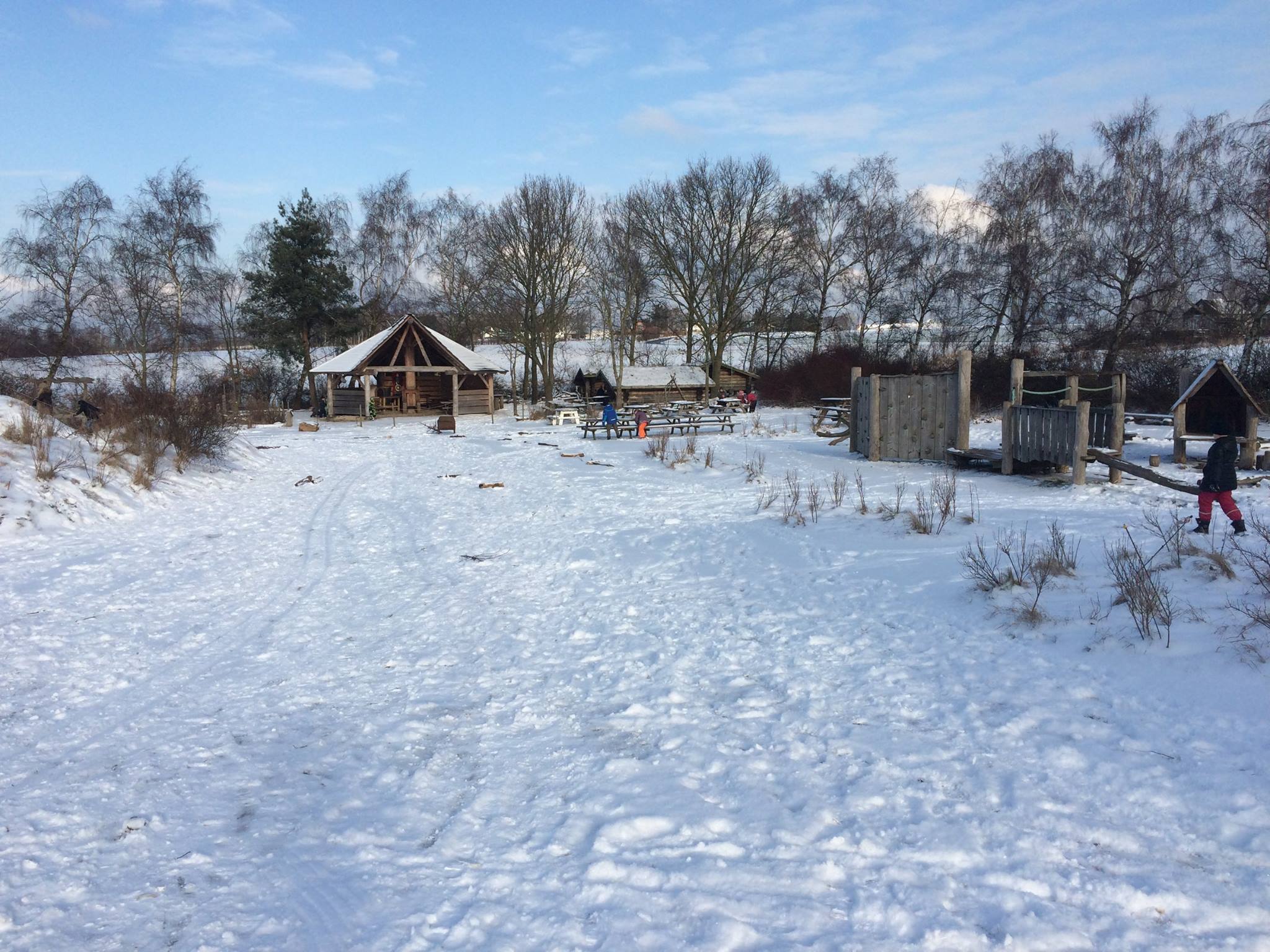 Skolen 31