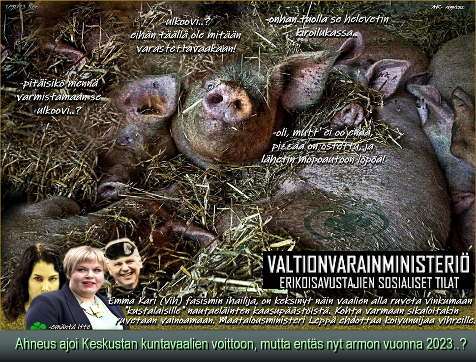 Elon Musk-Annika Saarikko. Keskusta. Maatalous. Köyhä maa.