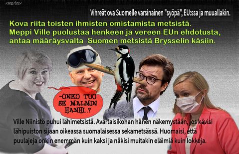 Siis, mitä ihmettä nyt taas?