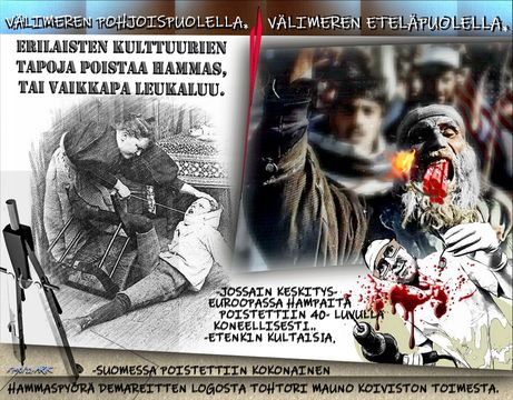 Kulttuuri kuulumisia