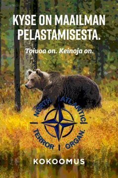 Mihin tämä liittyi?