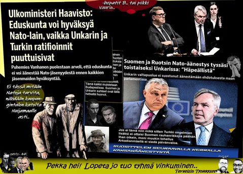 Pekka persereikä.