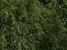 2020-07-09 Tomten på plats vid ny brygga. En stor dag för Å/F Tomtens Vänner samt bybor och många andra ångbåtsentusiaster.