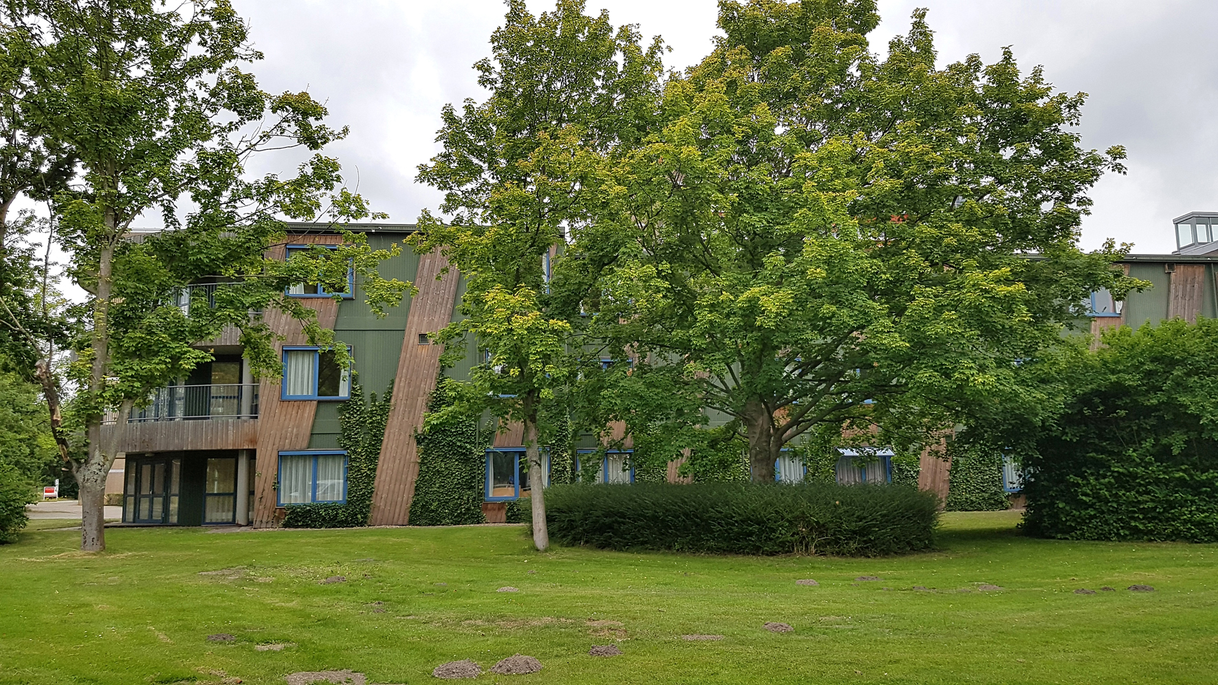MEEUWVLEUGEL PURMEREND&nbsp; /&nbsp; THE MEEUW BUILDING PURMEREND