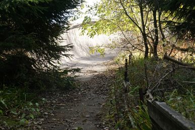 DSC60952 (Fichtelberg - ehem. Rennrodelbahn)