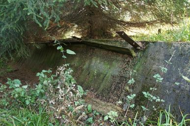 DSC60954 (Fichtelberg - ehem. Rennrodelbahn)