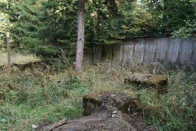 DSC60968 (Fichtelberg - ehem. Rennrodelbahn)