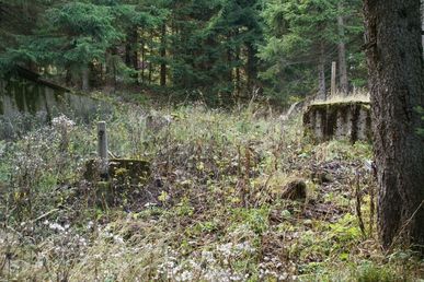 DSC60972 (Fichtelberg - ehem. Rennrodelbahn)