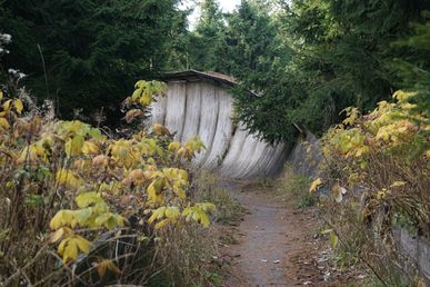 DSC60978 (Fichtelberg - ehem. Rennrodelbahn)