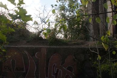 DSC87034