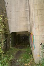 DSC87067