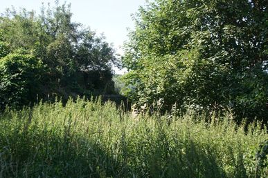DSC04055 (nördlich Porstendorf)