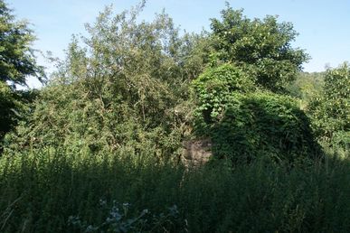 DSC04059 (nördlich Porstendorf)