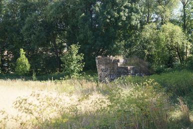 DSC04073 (nördlich Porstendorf)