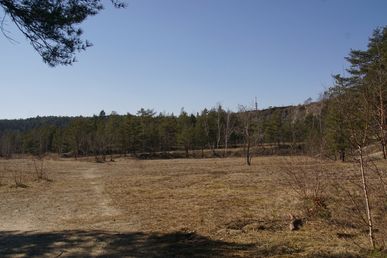 DSC81774