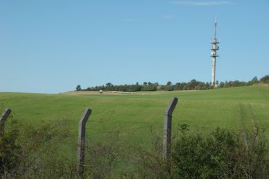 DSC_0040