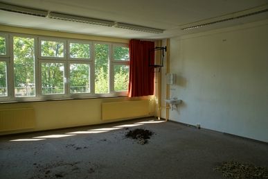 DSC74239