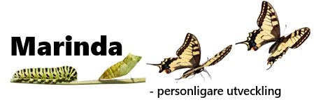 marinda.se