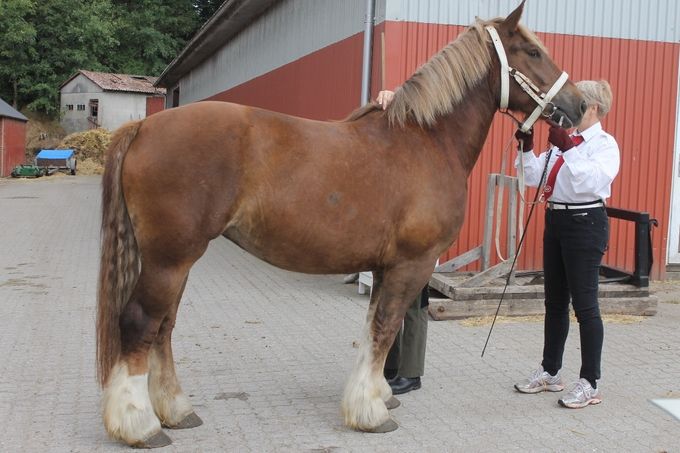 Bakkely Jensine kåret med 8 point