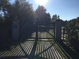 IMG_0332