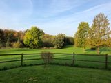IMG_0486