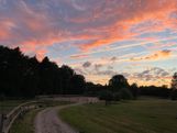 IMG_0672