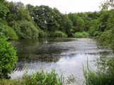IMG_1179