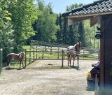 IMG_1443