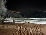 IMG_3715
