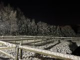 IMG_3729