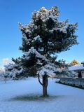 IMG_3730