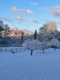 IMG_3736